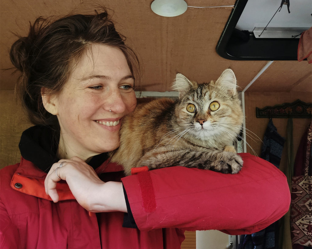 An adventure cat in her campervan.